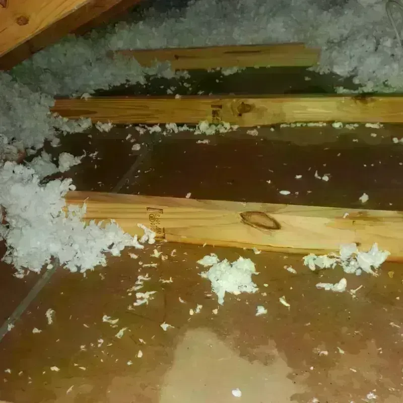 Attic Water Damage in Wickerham Manor-Fisher, PA